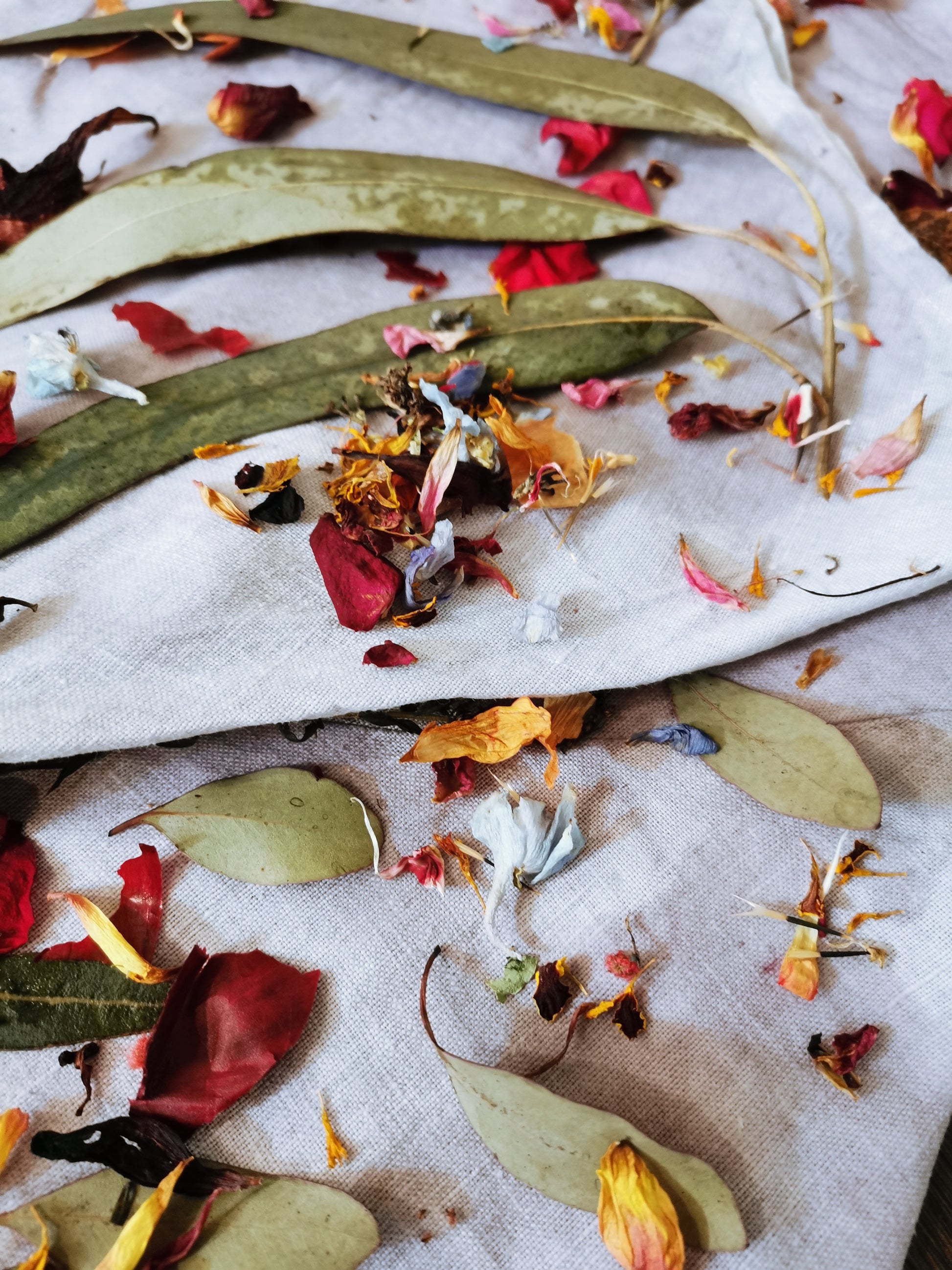 Dried leaves and flowers on a white fabric background